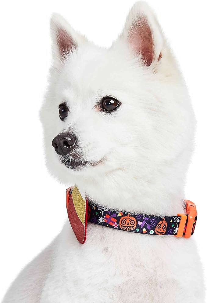Blueberry Pet Halloween Candy Corn Adjustable Dog Collar with Detachable Glitter Accessory, Small, Neck 12"-16"