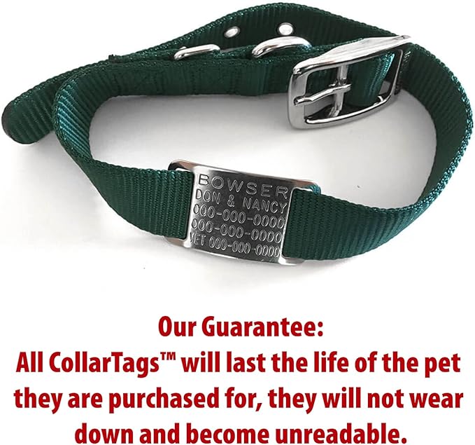 Boomerang Tags Slide on Dog ID Tags Engraved for Pets - Collar Tag, Personalized, Silent, Custom Slide-on Stainless Steel Dog Name Tag (Closed End Large for 1 Inch Wide Nylon Collars with Belt Buckle)