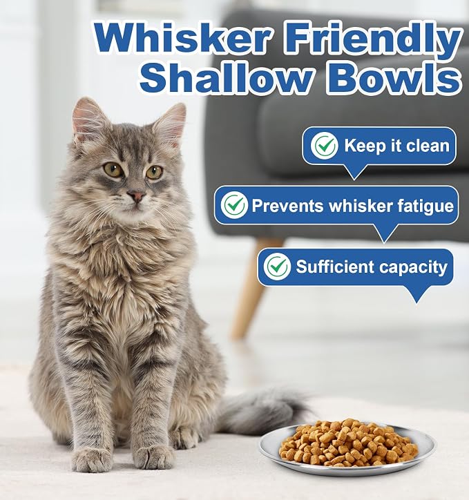 Supet Cat Plates Whisker Friendly, Non Slip Dish for Wet Food, Shallow Wide Flat Bowls Stainless Steel Metal for Indoor Cats, Kitten, Small Dog (13Oz, 2Pcs)