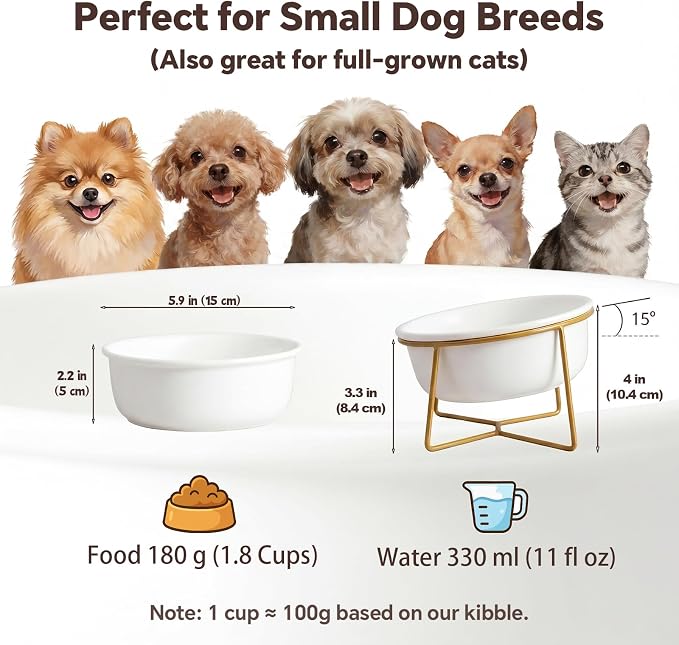 White Small Ceramic Tilted Elevated Cat Dog Bowl Raised Cat Food Water Bowl Dish Pet Comfort Feeding Bowls with Gold Iron Stand