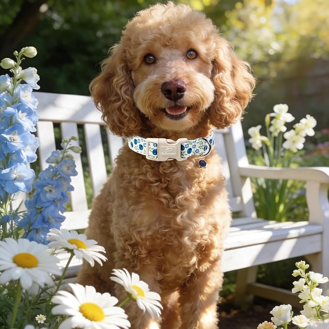 Spring/Summer Dog Collar for Large Dogs - Fresh Blueberry Girl Boy Dog Collars, Soft Lightweight Puppy Collar, Breathable Adjustable Male Female Fruit Floral Dogs Collars L