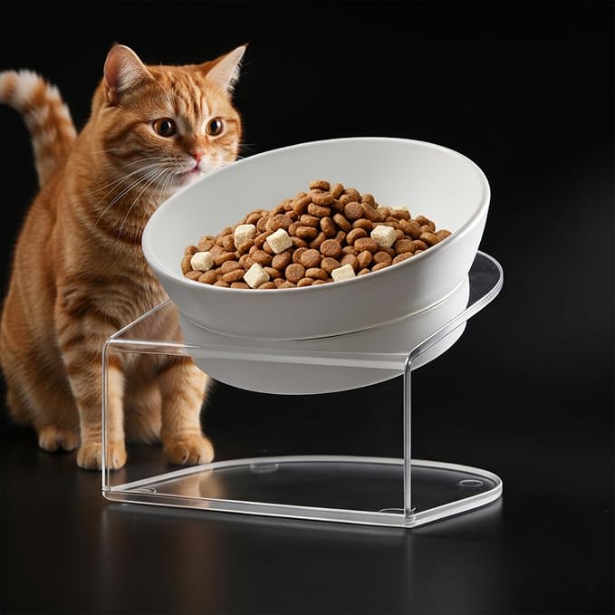 LivLab Mker Raised Cat Bowl, 15° Tilted, 4.5 in High, White | 15° tilted shallow melamine bowl on a 4.5 in raised stand supports comfortable feeding and reduces whisker contact.
