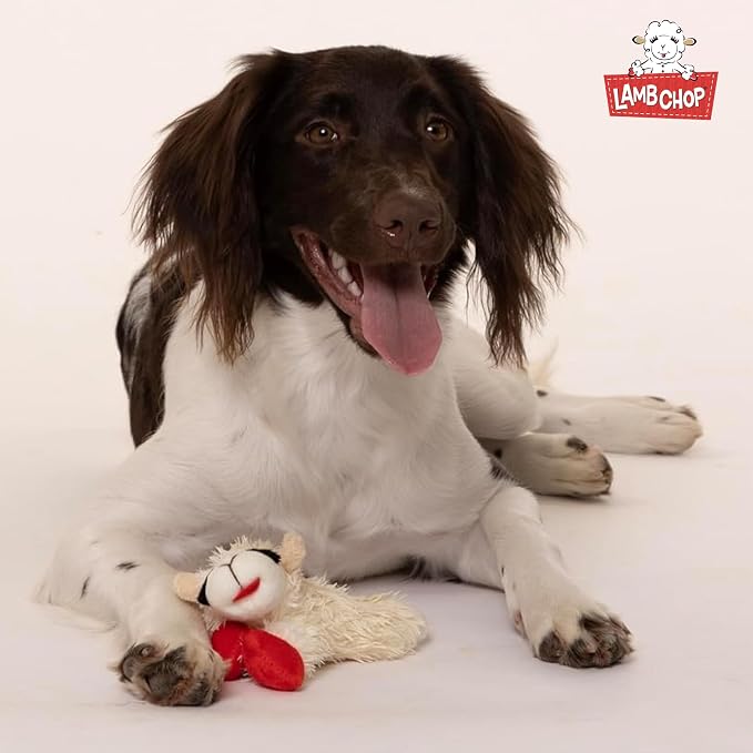 Multipet Lamb Chop Dog Plush Toy-Squeaky Toy for All Dogs - Extra Soft Plush - Stuffed Animal Dog Toy for Cuddling & Playing - Cute Pet-Toy (6", Cream) (Pack of 2)