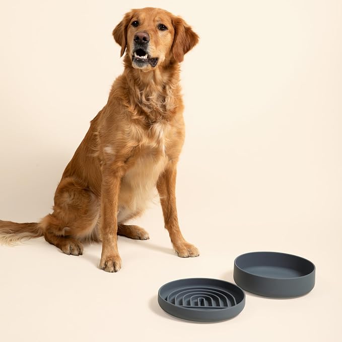 Should We Go? Slow Feeder Dog Bowls - Large Size Silicone Slow Eating Dog Bowl for Puppies & Dogs with Suction Cup -Dishwasher-Safe, Lick Mat Design, Reduces Gulping,for All Breeds,9.5”x1.5”-Charcoal