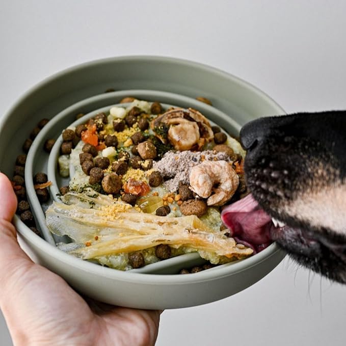 Should We Go? Slow Feeder for Dogs & Puppies, The Slowdown Bowl Silicone Slow Eating, Modern Lick Mat Design, Reduces Gulping, Fits 2 Cups, 7.5” Across x 1.5” Tall, Mealtime Challenge, Medium-Sage