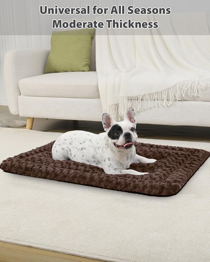 Exsnugy Washable Dog Bed Mat Large Size Fluffy Pet Crate Pad 42x28 XL | Non-Slip Bottom Kennel Beds Ultra Soft Comfy Sleeping Mattress for Large Medium Small Dogs Brown