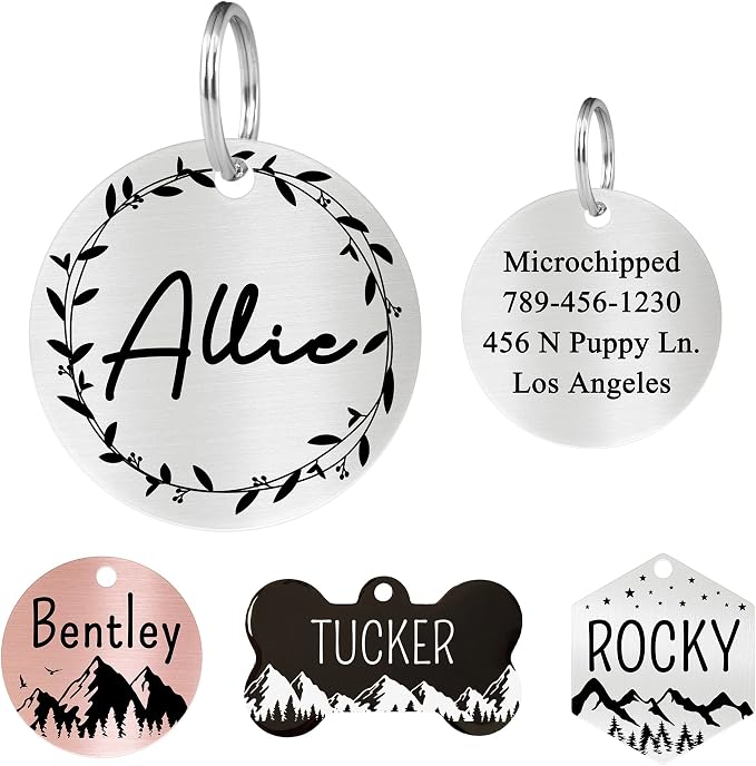 Ultra Joys Stainless Steel Pet ID Tag Dog Name Tags Personalized Front and Back Engraving, Customized Dog Tags and Cat Tags, Optional Engraved on Both Sides, Round Tag Vine Design 2, Silver Large