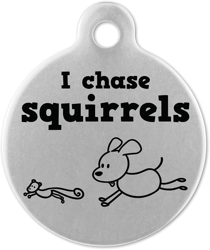 If It Barks - Engraved Pet ID Tags for Dogs - Personalized Stainless Steel Identification Tags - Custom Name Tag Attachment - Made in USA, I Chase Squirrels