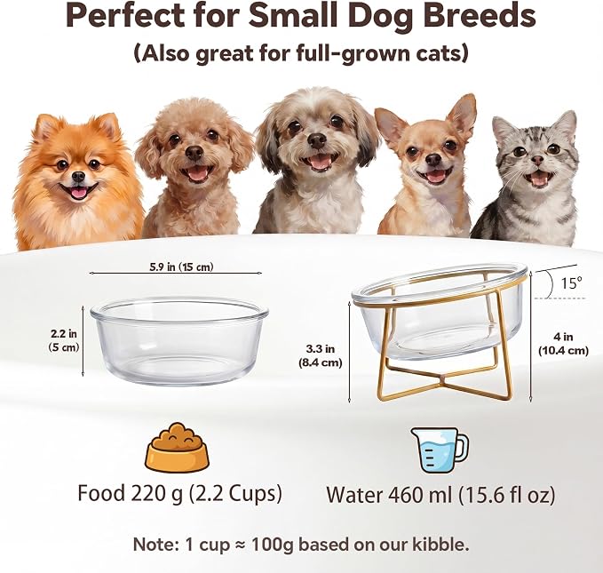 Small Glass Tilted Elevated Cat Dog Bowl Raised Cat Food Water Bowl Dish Pet Comfort Feeding Bowls with Gold Iron Stand