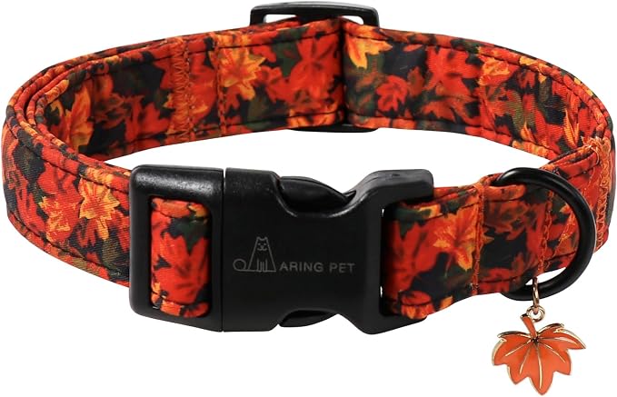 ARING PET Fall Dog Collar, Cute Autumn Orange Maple Leaf Pet Collars for Puppy Small Medium Large Girl Boy Dogs-S Size