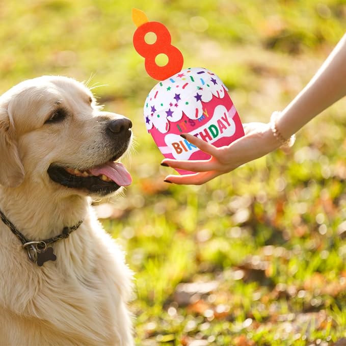 Dansydaisy Dog Birthday Cake Toy Squeaky Plush Toy for Girl Boy Gifts, Chew Accessories for Dog Birthday Party Decor Favor for Large, Medium and Small Dogs(8th,Pink)
