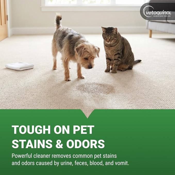 Vetoquinol Equalizer - Pet Carpet Cleaner & Stain Remover Support - Aids with Eliminating Odors - Multi-Surface Cleaner for Carpet, Cars & Furniture - Easy-to-Spray Spot Cleaner - 20oz