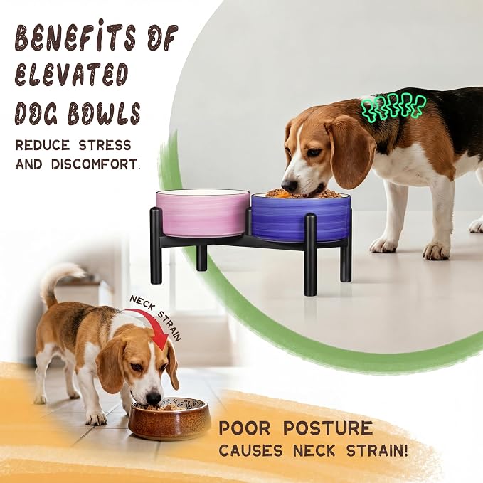 Ceramic Elevated Dog Bowl Set, 6.1''Raised Dog Food and Water Bowl Set with Non-Slip Stainless Steel Stand, Double Raised Dish for Small and Medium Breed, 3.5 Cups / 22 Fl Oz, Sunset Duo