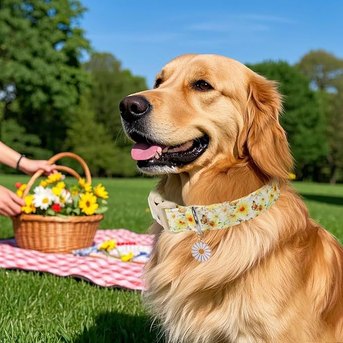 Sunflower Dog Collar, Adjustable Cute Dog Collars for Small Dogs, Lightweight Summer Fall Pet Collar with Quick-Release Buckle for Boy&Girl Dogs S