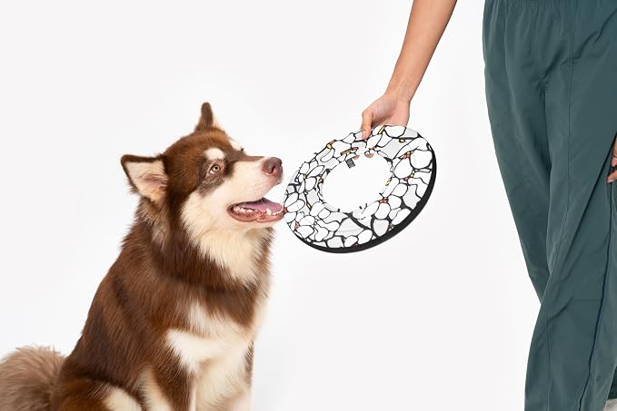 OllyDog Super Flyer | Durable Dog Frisbee | Soft & Lightweight Flying Disc | Gentle on Teeth & Gums | Water-Resistant Outdoor Toy (Magnolia)