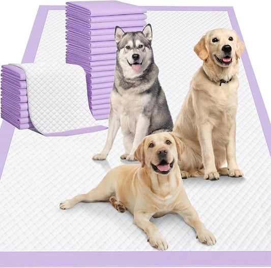 Gimars 36x36 XXXL Lavender Scented Ultra Absorbent 6-Layer Dog Pee Pads Extra Large, Leakproof Puppy Training Pads Quick-Dry Wee Wee Pee Pads for Dogs, Perfect for Puppies, Adult Senior Dogs