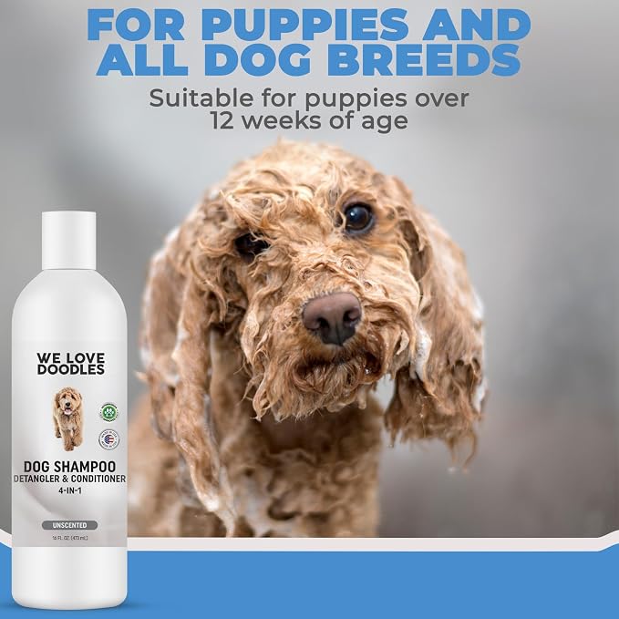 Dog Shampoo Conditioner & Detangler, Hypoallergenic Tearless Unscented 16OZ | For Sensitive Itchy Skin, Hypoallergenic, Tearless, Best Shampoo For Smelly Dogs, Goldendoodle, Poodle & Doodle, Made in USA