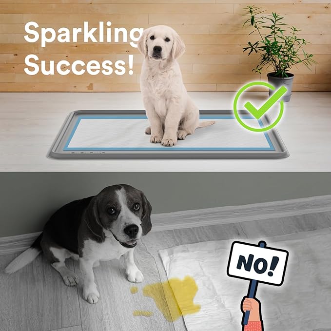 Dog Training Pad Silicone Tray - 35 x 28 in. No Spill Raised Lip High Edge Mat Holder, Extra Thick and Non-Slip for Indoor Floor Protection, Universal Fit Potty Training Pads (XL, Gray) | eenk