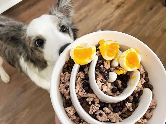 LE TAUCI PET Ceramic Slow Feeder Dog Bowls Elevated, 3 Cups Raised Dog Bowl with Wooden Stand for Medium Large Breed to Slow Down Eating, Puzzle Food Bowl,White