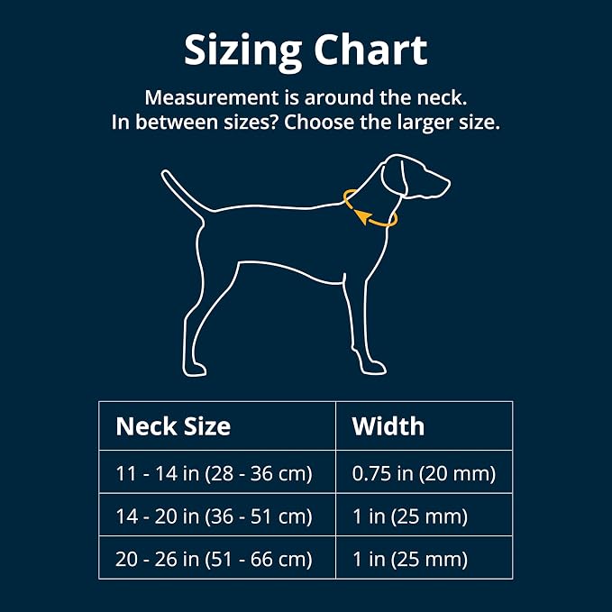 Ruffwear, Front Range Dog Collar, Adjustable Tubelok Webbing, Lightweight, Side Release Buckle, Aluminum V-Ring, Durable for Everyday Use, Wildflower, 14"-20"
