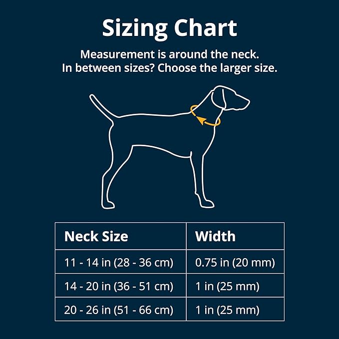 Ruffwear, Crag Dog Collar, Stylish Adventure Collar with Premium Reflective Design, Quick Release Buckle, Lightweight All-Day Comfort, Alpine Dawn, 11"-14"