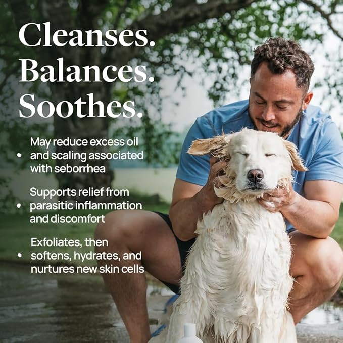 Veterinary Formula Clinical Care Antiparasitic Shampoo, 16 oz, 2-Pack | Antiparasitic and antiseborrheic shampoo for dry, irritated skin and occasional itchy spots