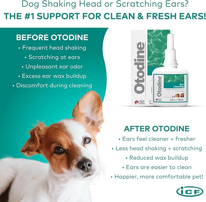 ICF Otodine Dog Ear Cleaner Solution Drops for Itchy Ears, Infections, Head Shaking, Scratching, Wax, Debris & Odor - Tris-EDTA Flush - Gentle & Safe for Cats & Puppies - 100ml