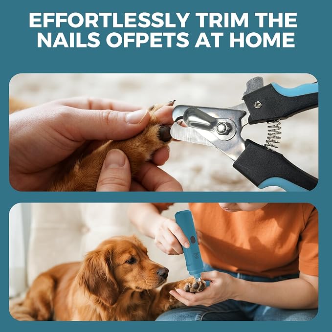 PAPIFEED Dog Nail Grinder with LED Light, Ultra Quiet 3-Speed Electric Nail File for Small Medium Large Dogs & Cats, Rechargeable Pet Nail Grinder Set with Nail Trimmer (Blue Kit)