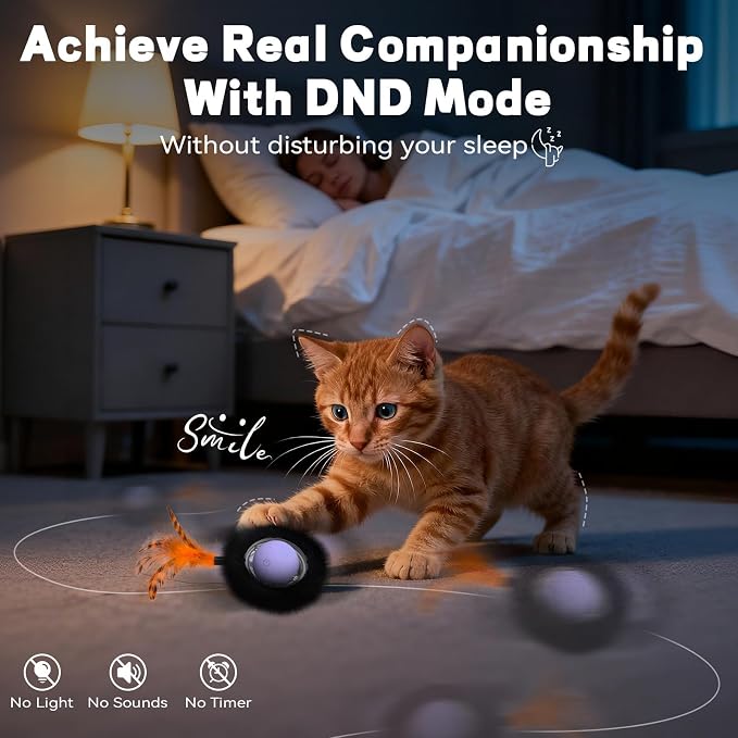 Interactive Cat Toy with Motion Activated Ball & 7 Holes Maze Mat, Hide and Seek Exercise Game for Indoor Cats, Automatic Moving Cat Ball Toy in Pouch, Rechargeable Kitten Toys, Mouse Catching Game