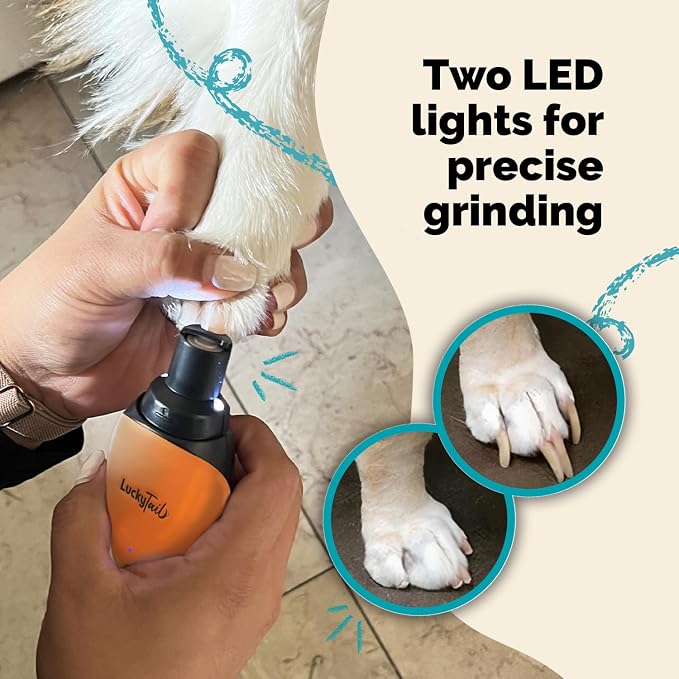 Pet Nail Grinder for Dogs and Cats - Super Quiet and Low Vibration Electric Dog Nail Grinder with 2 LED Lights - USB Rechargeable and Cordless - 2 Speeds - Small to Large Pets - Orange