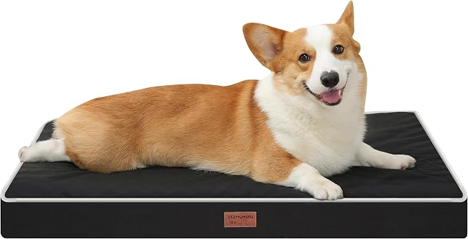 Orthopedic Dog Bed,Medium L Sized Dog 36''X27''x3'' Soft Waterproof Egg Foam Pet Crate Beds Mat or Kennel Pads with Removable Washable Cover,Non-Slip Bottom,Black
