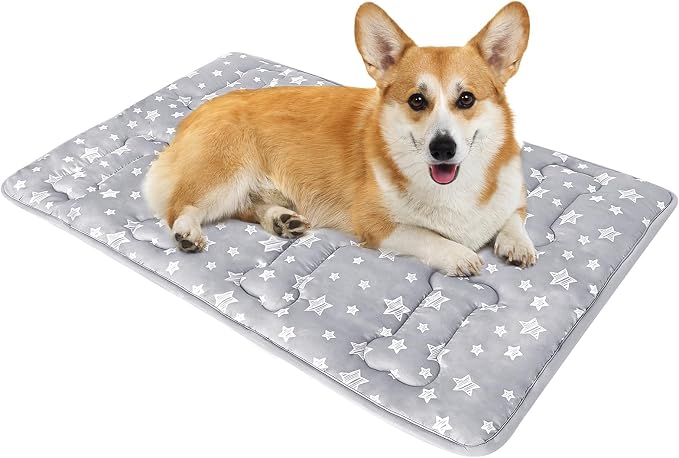 Dog Crate Mat (30" X 19"), Soft Dog Bed Pad Mat with Cute Prints | Personalized Crate Pad, Anti-Slip Bottom, Machine Washable Kennel Pad
