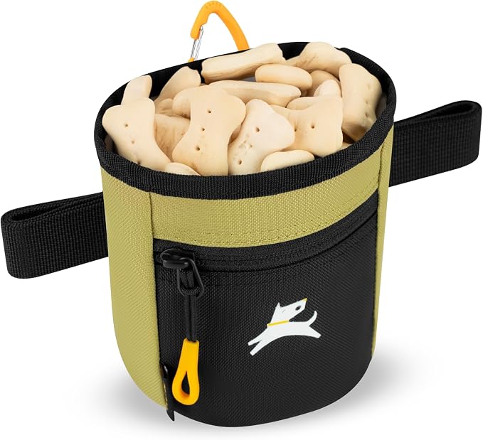 Goodie Treat Bag, Dog Treat Training Pouch | Magnetic Closure | 3 Ways to Wear | Hands-Free Waist Belt | Water-Resistant Recycled Vegan Fabric (Alchemy)