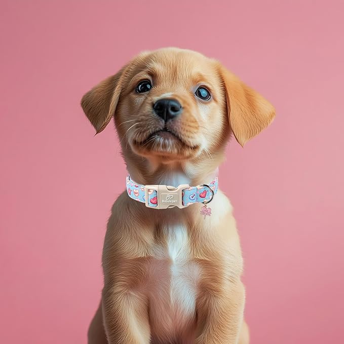 Valentines Dog Collar for Medium Dogs - Valentine Candy Hearts Dog Collars, Love Boy Girl Dogs Collars, Lightweight Adjustable Cute Blue Puppy Collar with Quick-Release Buckle M