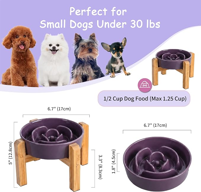 Elevated Slow Feeder Dog Bowl - Ceramic Maze Food Dish with Bamboo Stand - Raised Feeding Bowl for Fast Eaters - Ideal for Small and Medium Dogs - Purple - 6.7 inch
