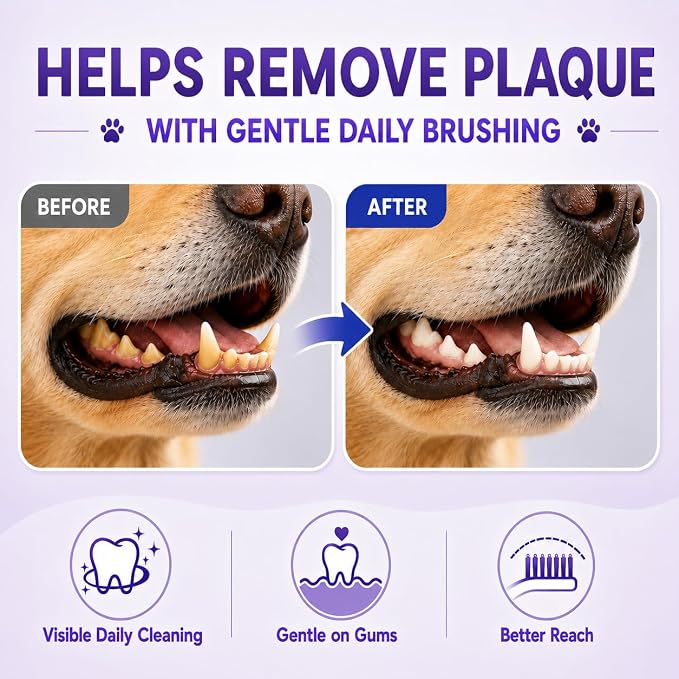 Dog Toothbrush, Dual-Head, for Medium-Large Dogs,Blue | Soft Bristles for Gentle Cleaning, 60° Curved Bristles for Better Coverage, Comfortable for Sensitive Gums