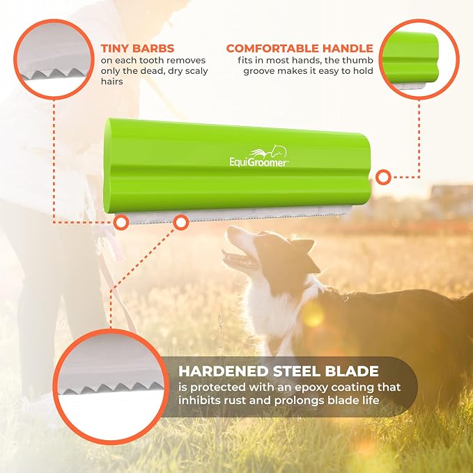 EquiGroomer 5-Inch Undercoat Deshedding Brush for Dogs & Cats, Lime | Best for dogs up to 100 lbs and cats of any size, short or long hair, stainless blade, no cutting or pulling