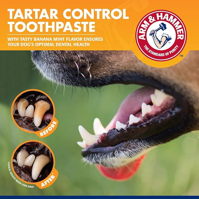 Arm & Hammer for Pets Tartar Control Dog Dental Care Kit, Banana Mint Flavor Toothpaste with Baking Soda, Double-Sided Toothbrush and Finger Brush Included, 2.5 Oz, 3-Piece - 2 Pack