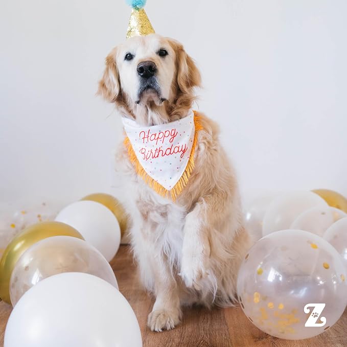 ZippyPaws Dog Birthday Gift Bandana & Bone - Cute Accessories for Girl & Boy Dogs, Holiday Set, Fits Small, Medium, & Large Dogs, Stuffed Plush Toy, Machine Washable Handkerchief - One Size Fits Most
