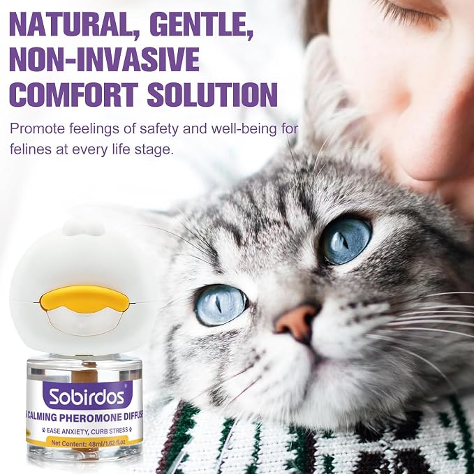 6-in-1 Cat Pheromone Calming Diffuser Kit - Relieve Anxiety, Reduce Fights/Scratching, 2 Plugs + 4 Refills, 120 Days (Purple, L)