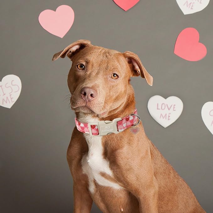 Valentines Dog Collar for Small Dogs - Cute Valentine Pink Hearts Girl Dog Collars, Adjustable Girly Puppy Collar with Quick Release Buckle for Female Dogs XS