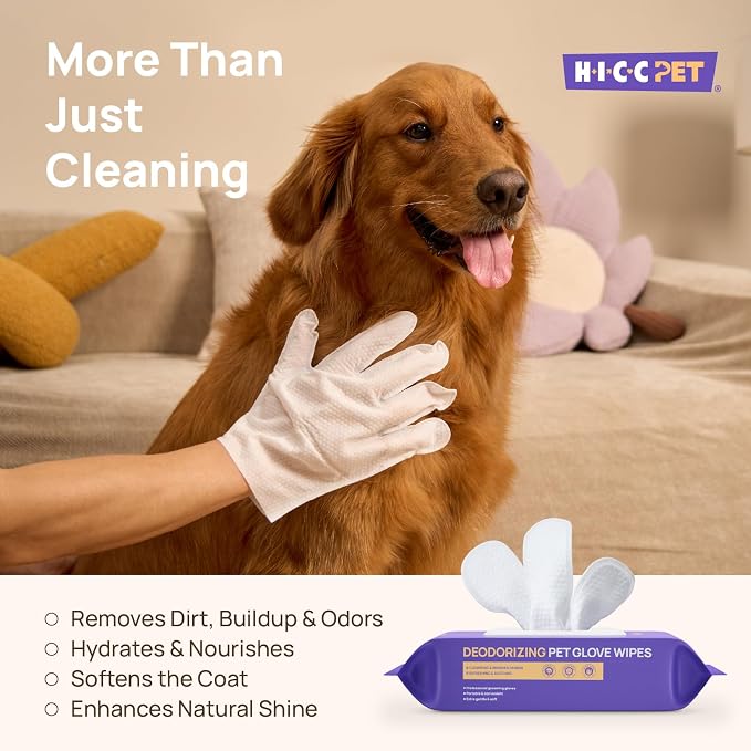 HICC PET Dog Wipes for Dogs & Cats, Glove Design, 20 Count | Fresh Coat Between Baths, Head-to-Tail Grooming, Plant-Based Formula, No-Rinse, Quick Everyday Cleanups, Verbena Scent