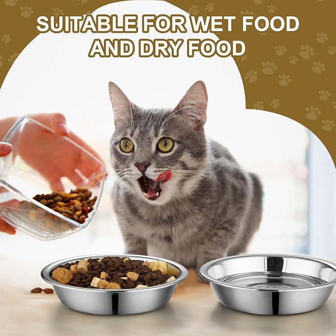 Mimorou 10 Pcs Stainless Steel Cat Bowls Bulk, Small Dog Shallow Food Bowls Replacement Metal Cat Dishes for Pet Food and Water, Dishwasher Safe(5.5 Inch Diameter)