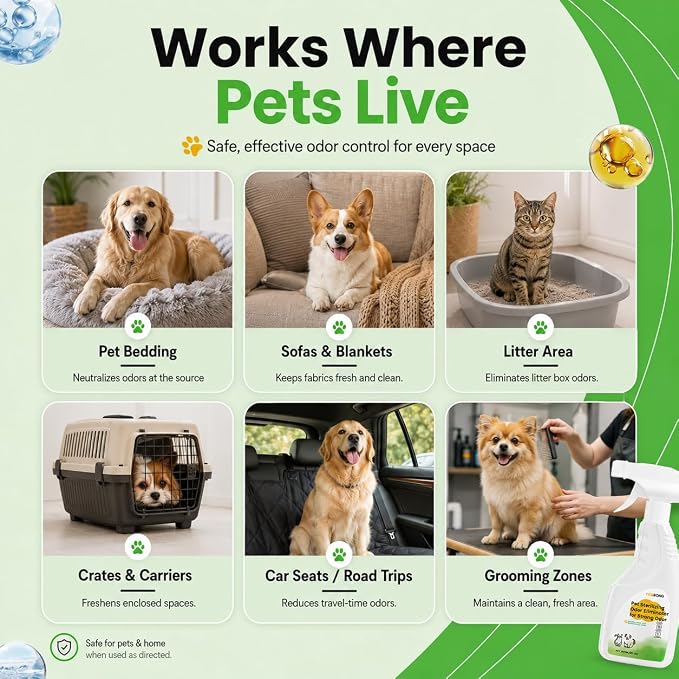 Pet Stain & Strong Odor Eliminator, Dog & Cat Pee Urine Destroyer for Carpet, Upholstery - Cleaner Spray for Pet Stain Remover, Urine, Poop, Pee, Deodorizer, Air Freshener in Home & Car - 8FLoz
