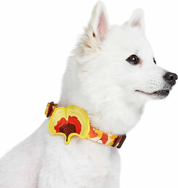 Blueberry Pet Thanksgiving Fall Ginkgo Biloba Leaf Adjustable Dog Collar with Detachable Accessory, Large, Neck 18"-26"