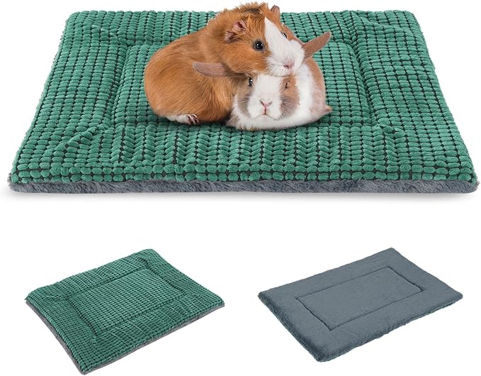BVAGSS Reversible Dog Crate Pad, Memory Foam Pet Bed Mat, Soft Warm Machine Washable Sleeping Kennel Mattress for Small Medium Dogs XH079 (21''x13''x1.6'',Green)