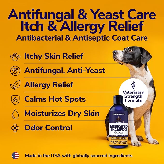 Miracle Vet Medicated Dog Shampoo for Itchy Skin Relief - Antifungal for Dog Allergy Relief, Yeast Infection, Hot Spot & Dry Skin Anti-Itch Treatment Wash - Hydrocortisone 8 fl oz