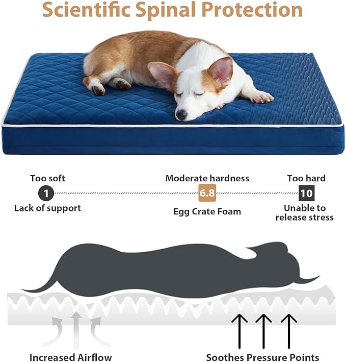 WNPETHOME Orthopedic XXL Dog Beds for Large Senior Dog Bed Comfy Sleeping | XXL Washable Waterproof Dogs Bed with Removable Cover, Multi-Needle Quilting Dogs Crate Bed for Relax , Blue 55x42 Inch