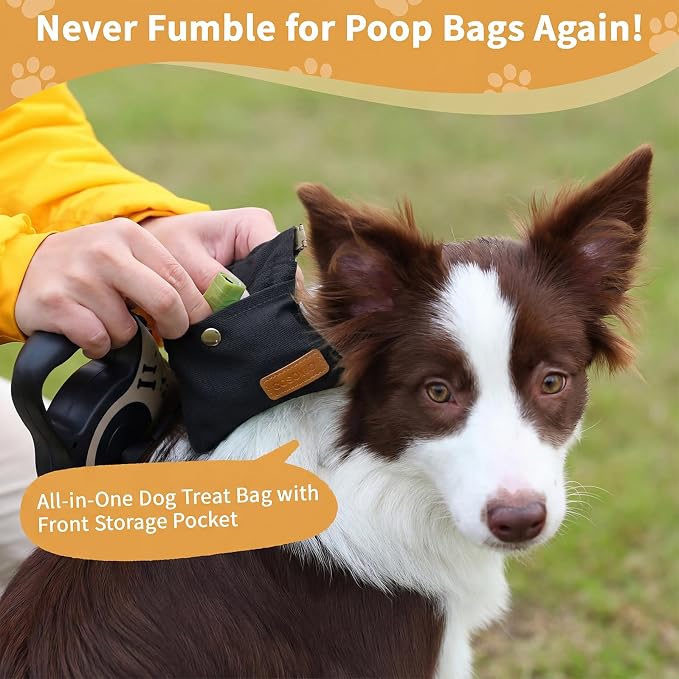 Dog Treat Pouch for Pet Training, Carabiner & Magnetic Buckle, Black | Hand Free Dog Training Treat Bag, Auto Closing Dog Walking Bag for Puppy Travel or Outdoor Use, Pet Feed Snack Reward Pocket
