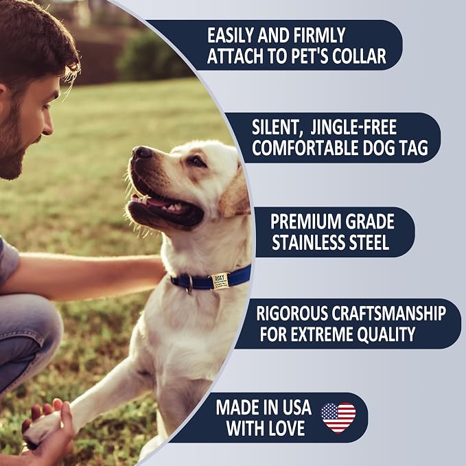 Rugged & Refined: Immovable Slide-On Pet ID Tag - Silent No-Noise Design - Deep Laser Engraved Horology-Grade Steel - Extra Large | PVD Rose Gold